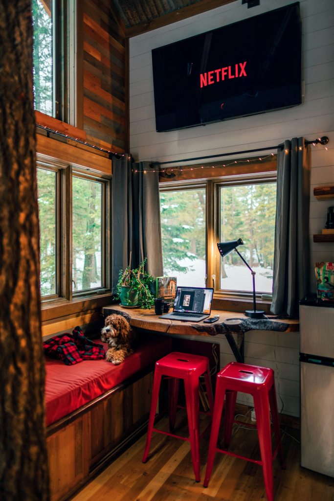 dog laying on bench in wood cabin with netflix on tv screen