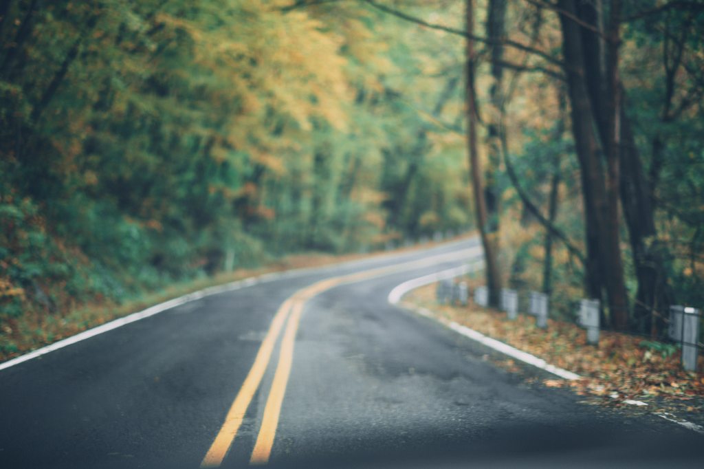 Winding Asphalt road in woods