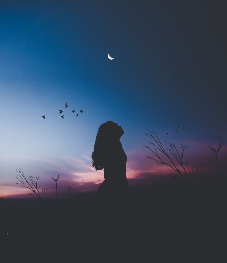 Young woman in field at night with butterflies dark blue and pink sky